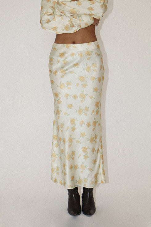 Secret Garden Satin Skirt